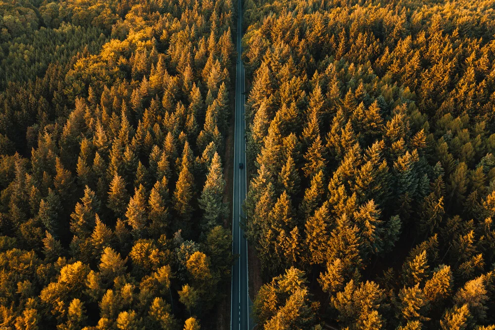 Endless Street - fotokunst von Lina Jakobi