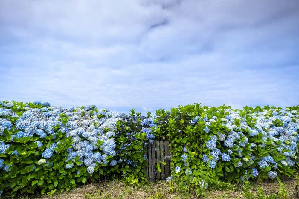 Azores #1 - Fineart photography by J. Daniel Hunger