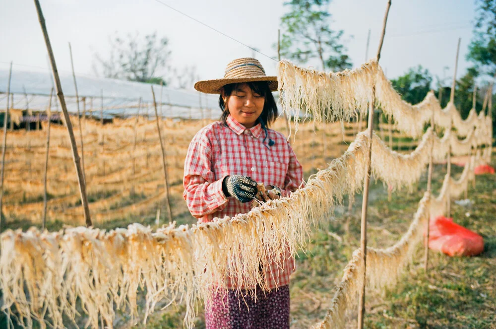 Myanmar Inle Lake - fotokunst von Jim Delcid