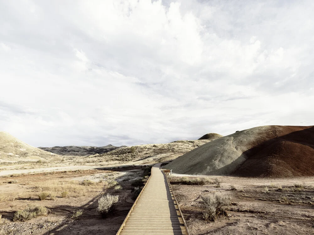 Painted Hills - fotokunst von Vera Mladenovic