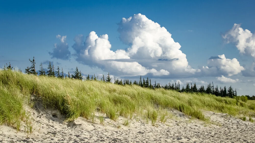 Baltic Sea beach - Fineart photography by Valentin Pfeifhofer