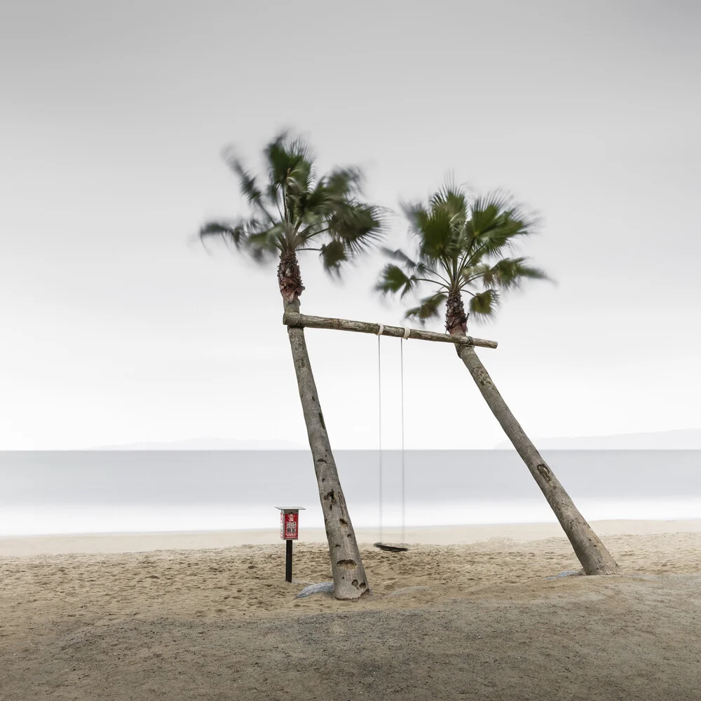 Palm tree swing - Fineart photography by Ronny Behnert