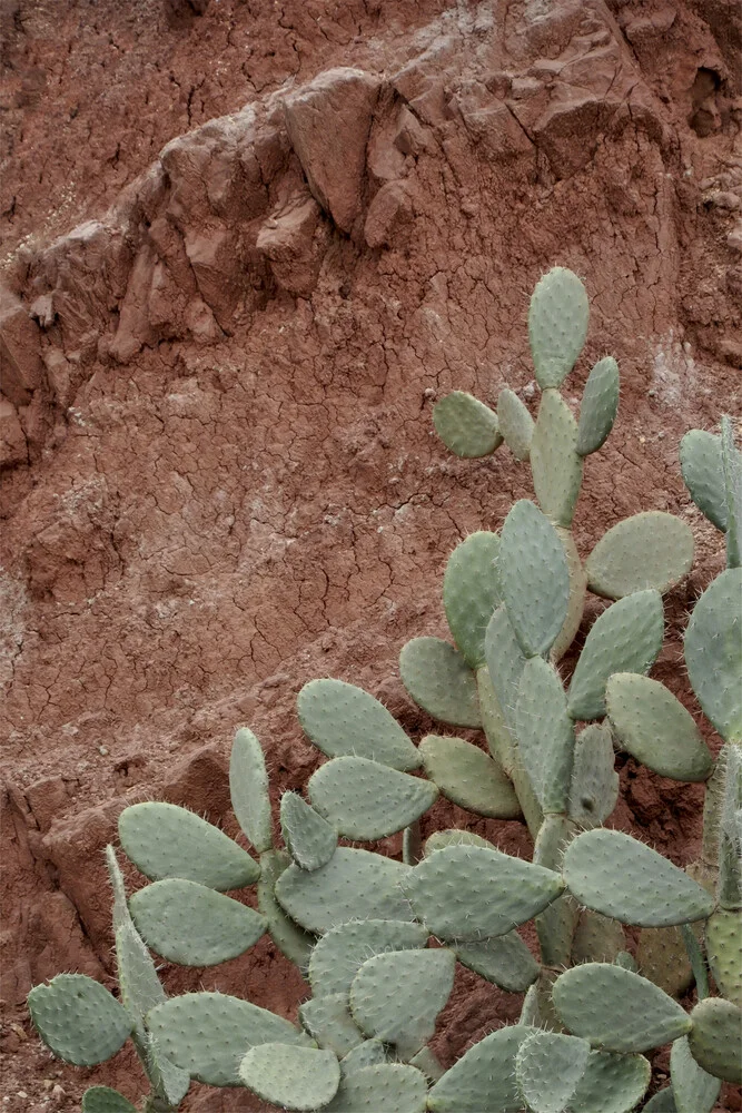 Desert Mood - fotokunst von Studio Na.hili