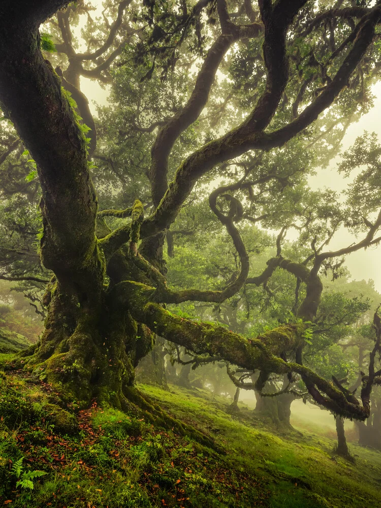 try to reach - fotokunst von Anke Butawitsch