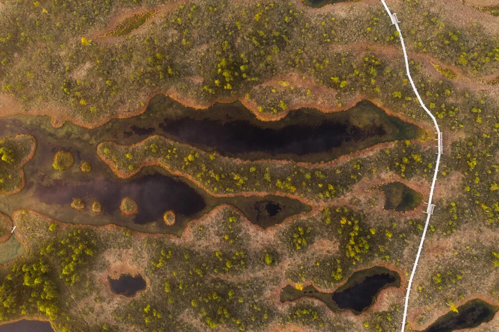 kemeri national park - fotokunst von Christoph Schaarschmidt