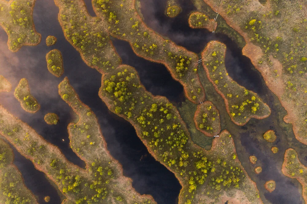 kemeri national park - fotokunst von Christoph Schaarschmidt