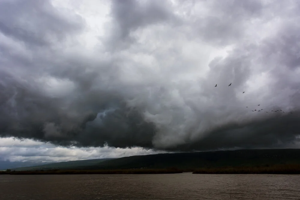The Hula Valley #1 - Fineart photography by Tal Paz-fridman