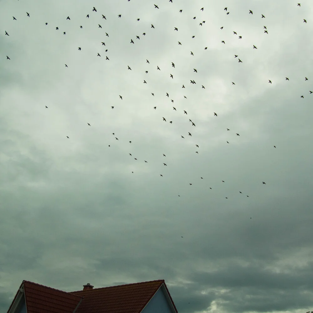 Abendstimmung - Fineart photography by Katharina Stöcker