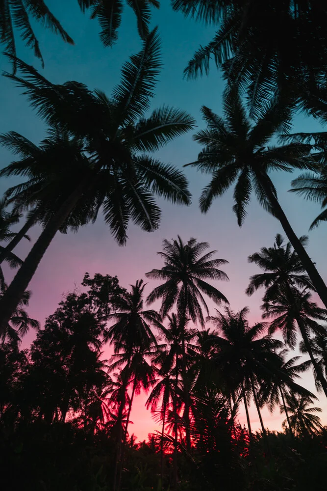 Sonnenuntergang Palmen - fotokunst von Tobias Winkelmann