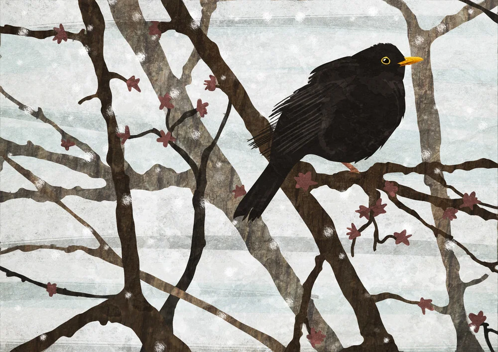 blackbird - fotokunst von Katherine Blower