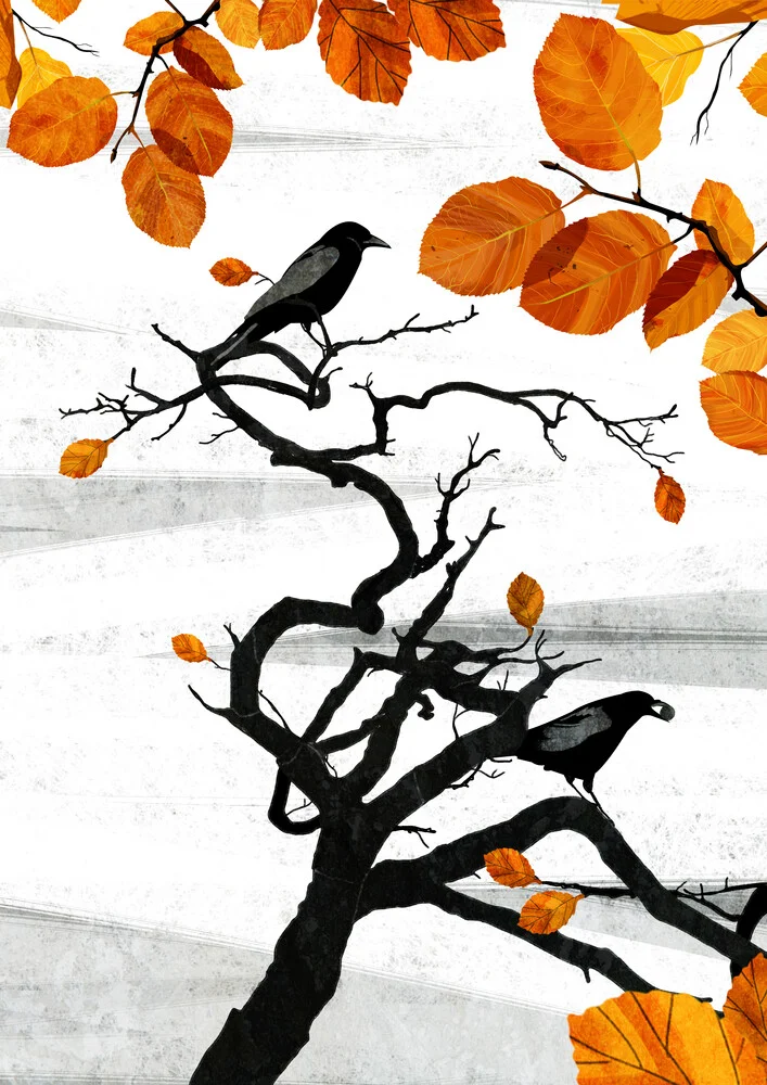 Crows - fotokunst von Katherine Blower