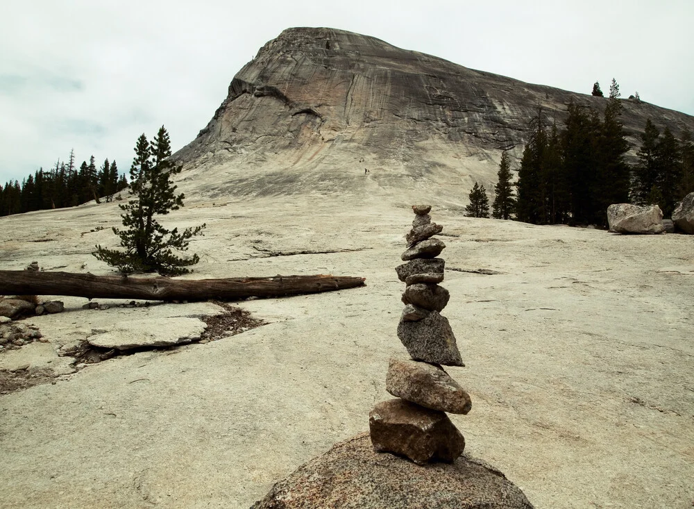 Yosemite - fotokunst von Aurica Voss