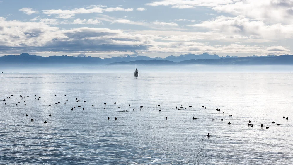 lake of constance - fotokunst von Nicklas Walther