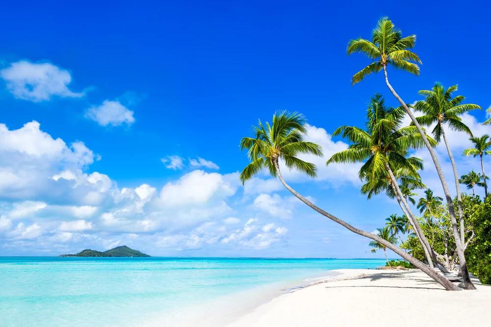 Beautiful beach with palm trees on Bora Bora in French Polynesia - Fineart photography by Jan Becke