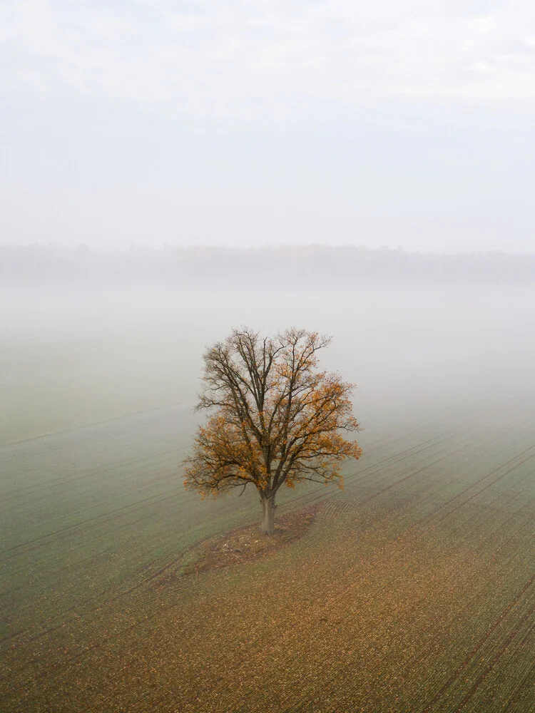 Solitude - fotokunst von Giedra Bartas