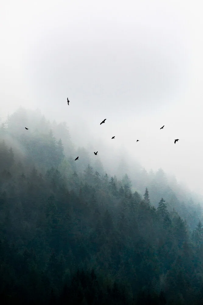 Foggy Morning 4 - Fineart photography by Mareike Böhmer