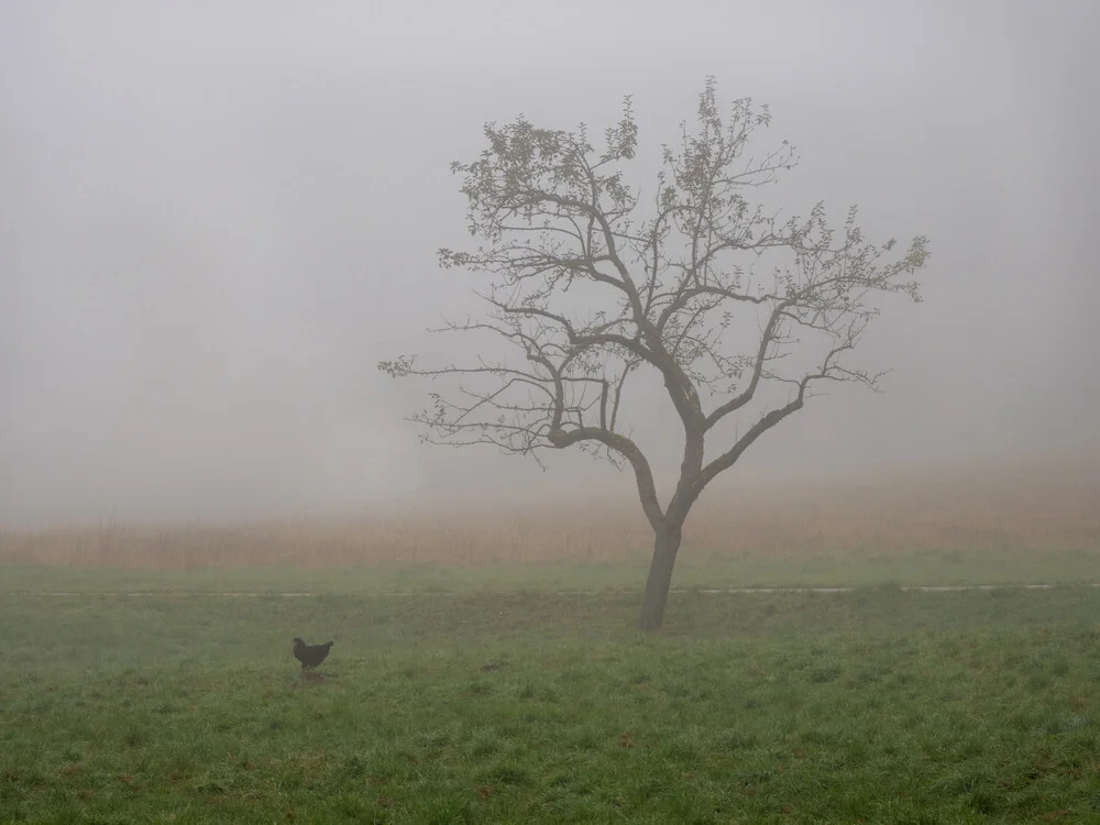 Nebliger November Morgen - fotokunst von Bernd Grosseck