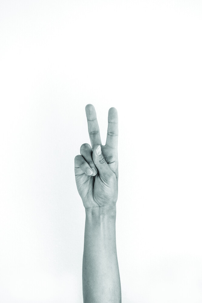 Hands 5 - VEGAN - PEACE - fotokunst von Studio Na.hili