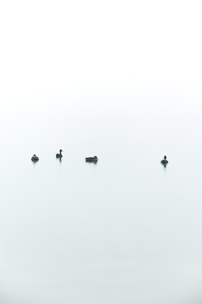 Floating Between Fog and Sea - fotokunst von Studio Na.hili