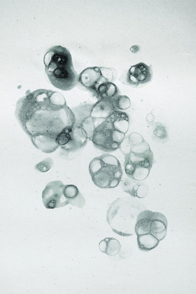Aquarelle Bubbles - Black - fotokunst von Studio Na.hili