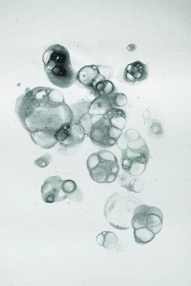 Aquarelle Bubbles - Black - fotokunst von Studio Na.hili