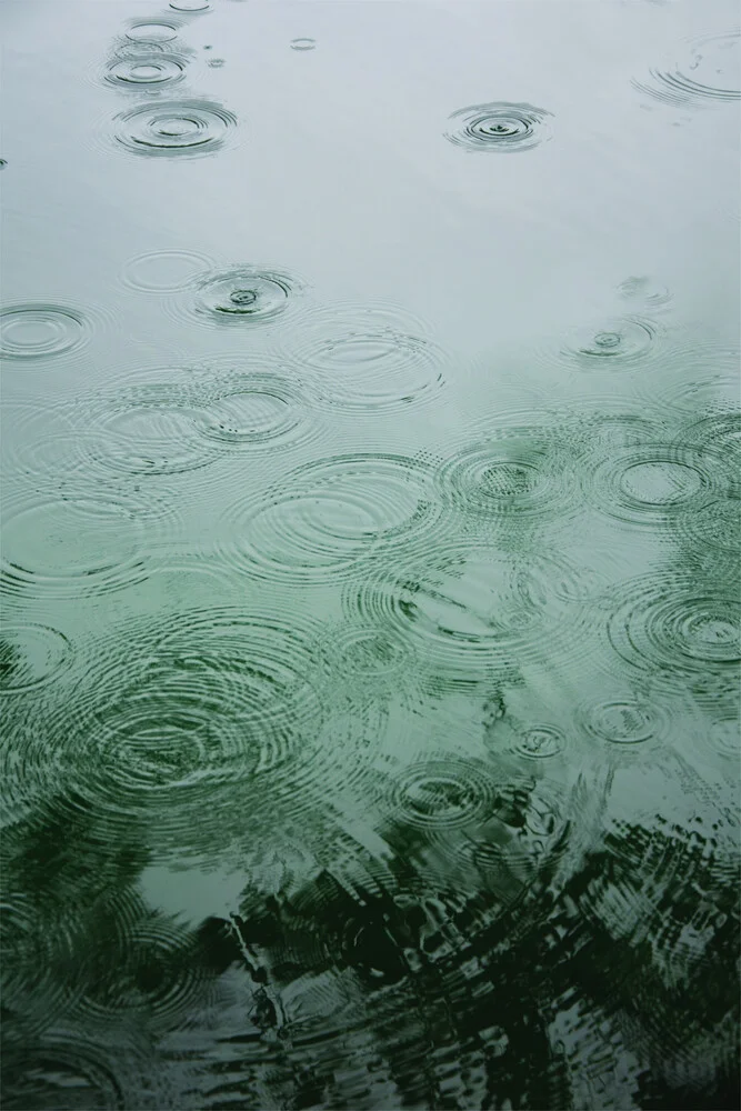 Raindrops under the Tree - Fineart photography by Studio Na.hili