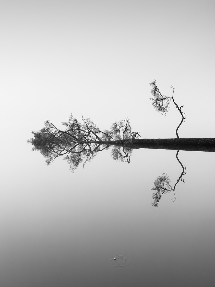 Reflections on Water - fotokunst von Holger Nimtz