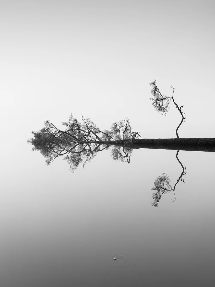 Reflections on Water - Fineart photography by Holger Nimtz