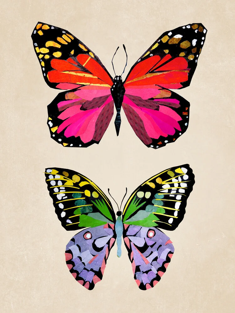 Schmetterlinge – Illustration für Kinder - fotokunst von Pia Kolle