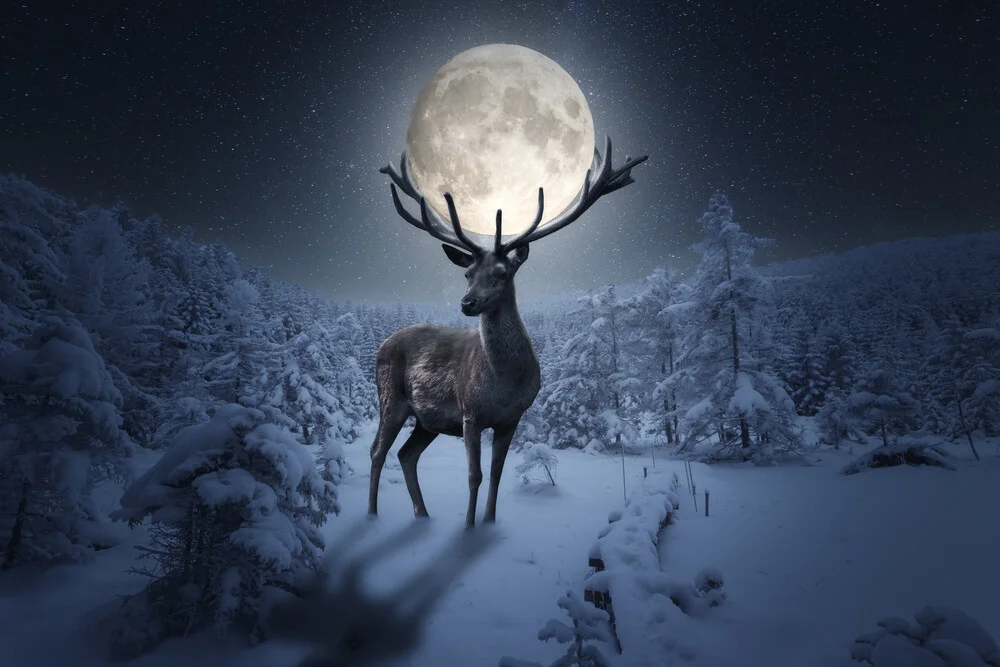 Der Hirsch und sein Mond - fotokunst von Oliver Henze