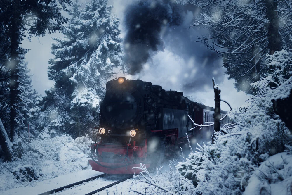 Polar Express in the harz mountains - Fineart photography by Oliver Henze