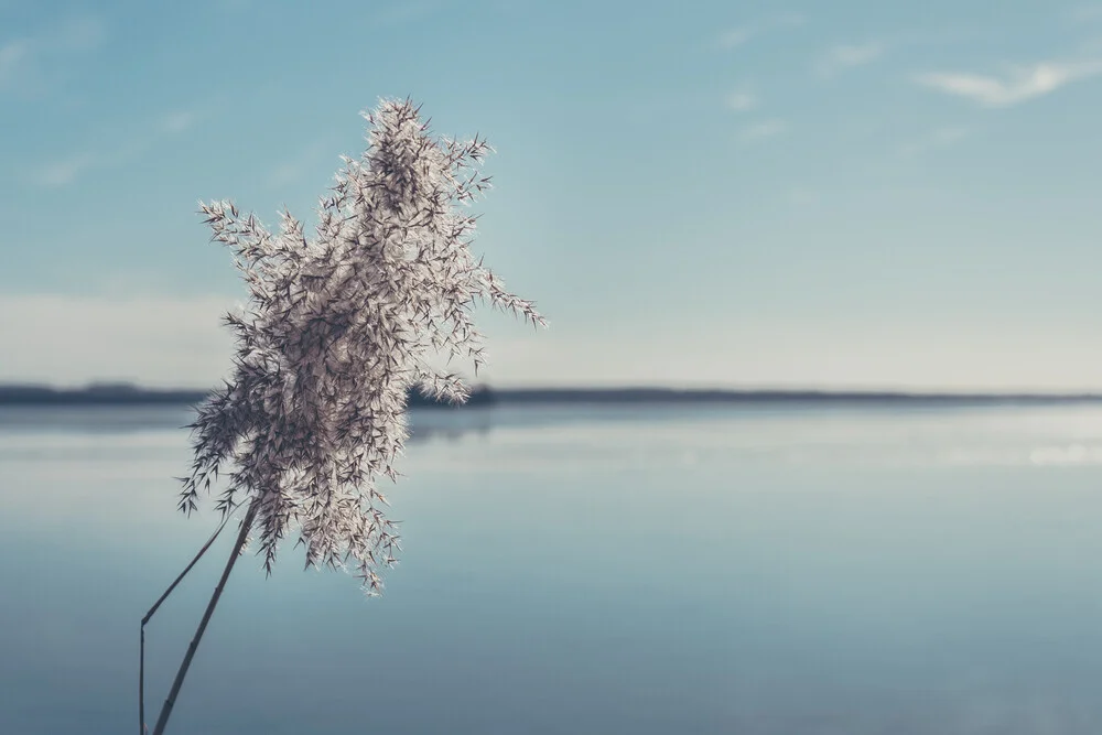 Am See - fotokunst von Björn Witt