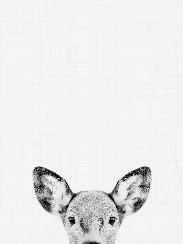 Doe (Black and White) - fotokunst von Vivid Atelier