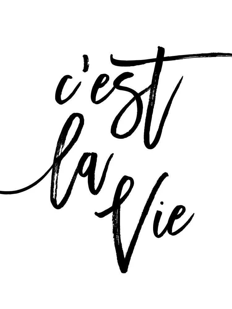 C'est La Vie - fotokunst von Vivid Atelier