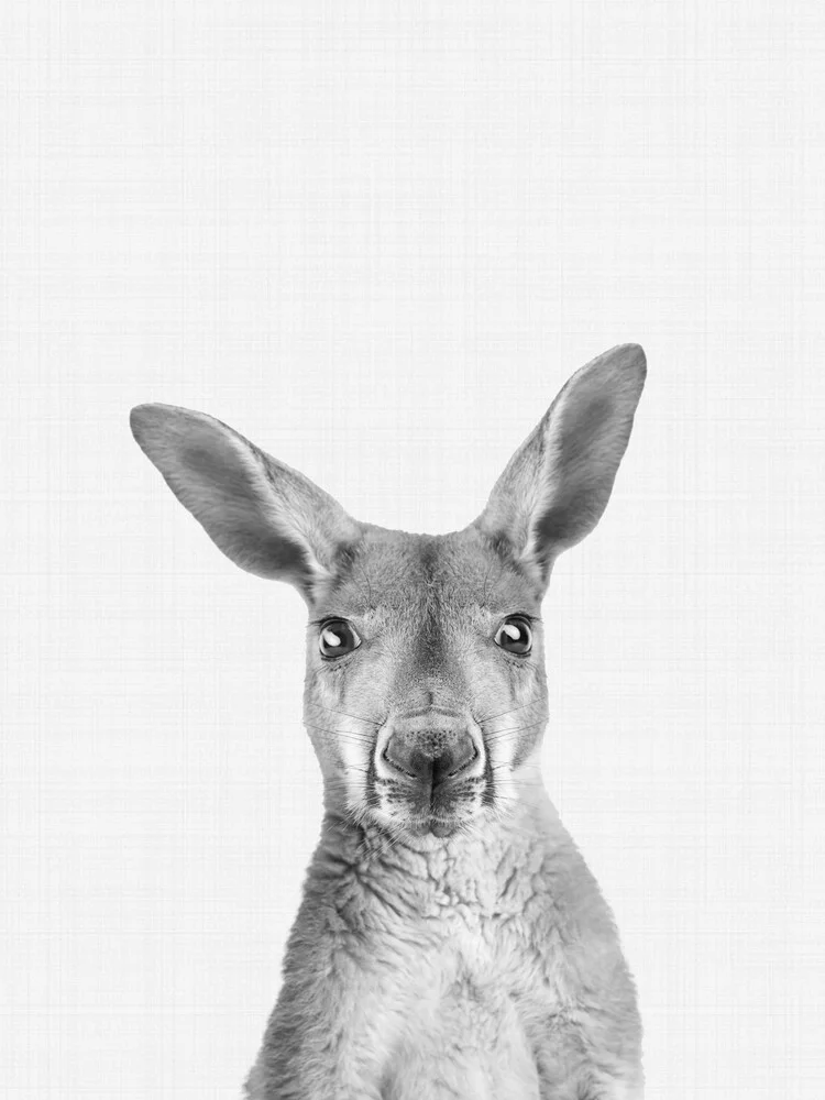 Kangaroo (Black and White) - fotokunst von Vivid Atelier