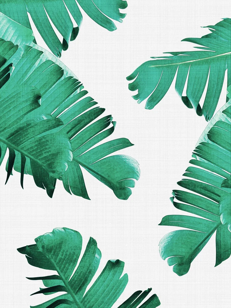 Tropical Leaves - fotokunst von Vivid Atelier