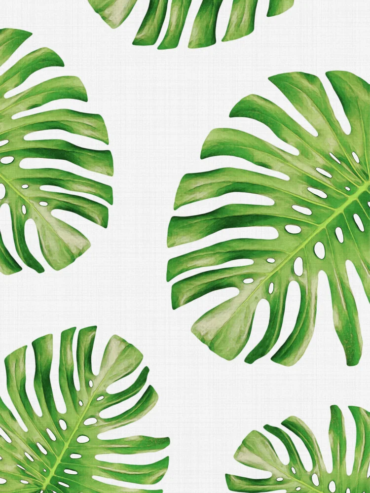 Tropical Monstera - fotokunst von Vivid Atelier