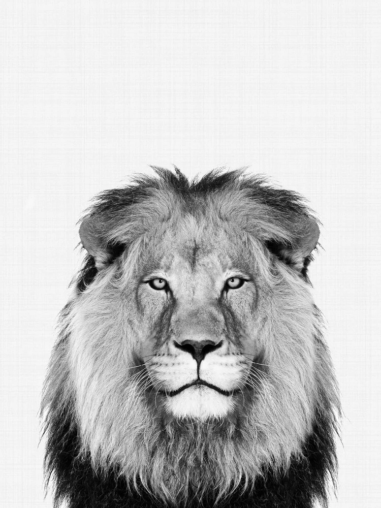 Lion (Black and White) - fotokunst von Vivid Atelier