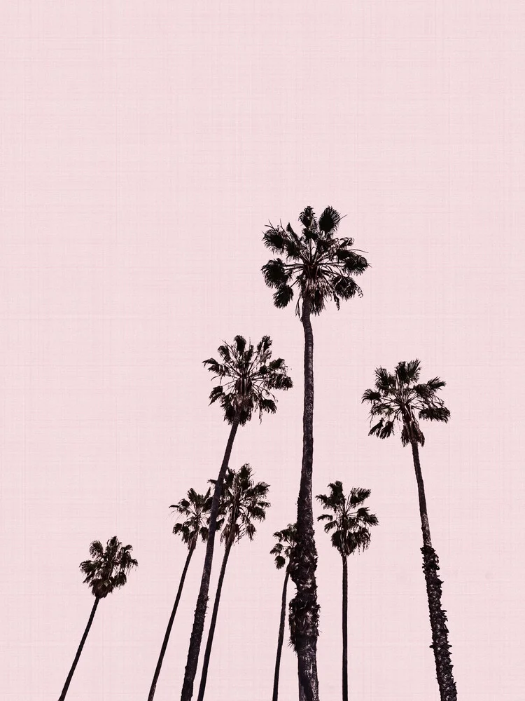 Palm Trees in Pink - Fineart photography by Vivid Atelier