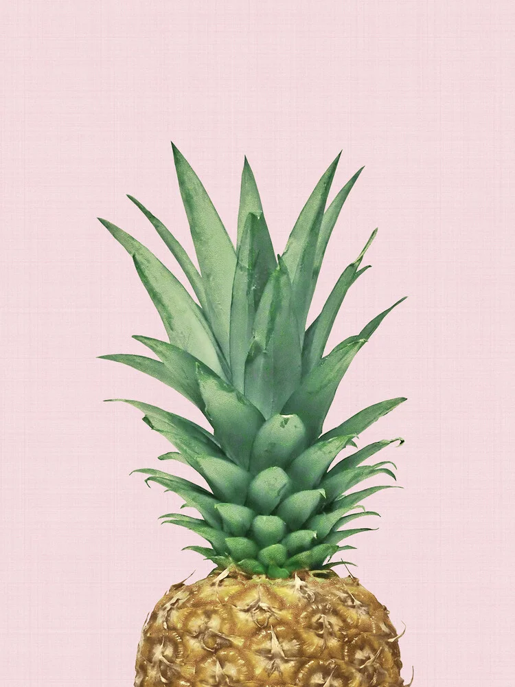 Pineapple Pink - fotokunst von Vivid Atelier