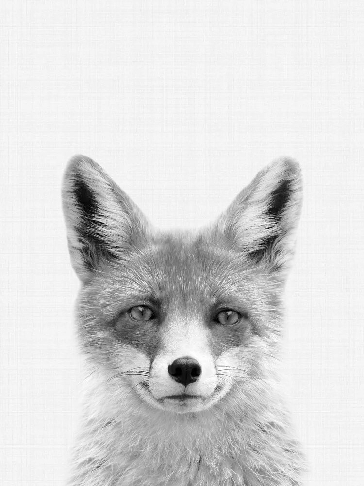 Fox (Black and White) - fotokunst von Vivid Atelier
