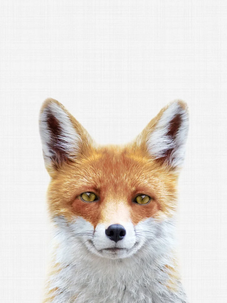 Fox - fotokunst von Vivid Atelier