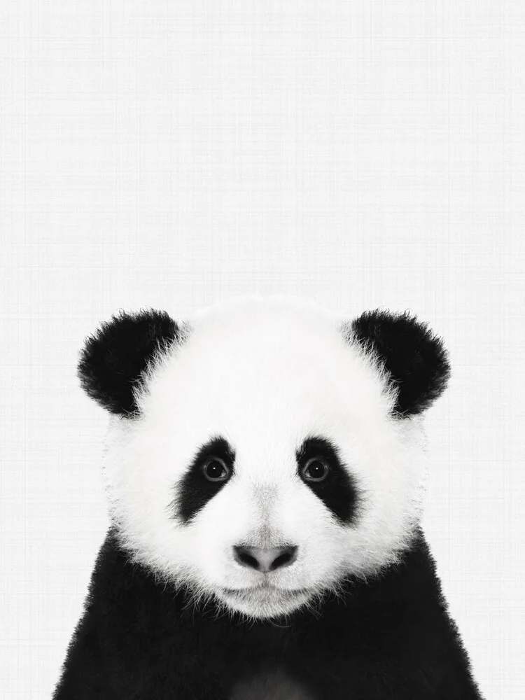 Panda (Black and White) - fotokunst von Vivid Atelier