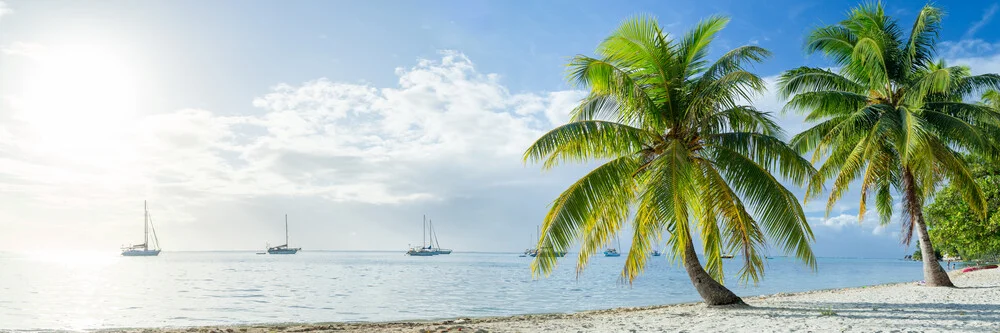 Palmenstrand in der Südsee - fotokunst von Jan Becke