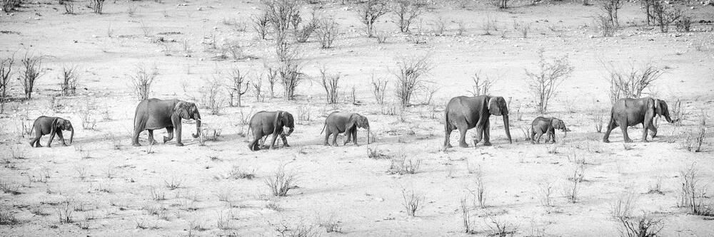 Elephant Parade - Fineart photography by Dennis Wehrmann