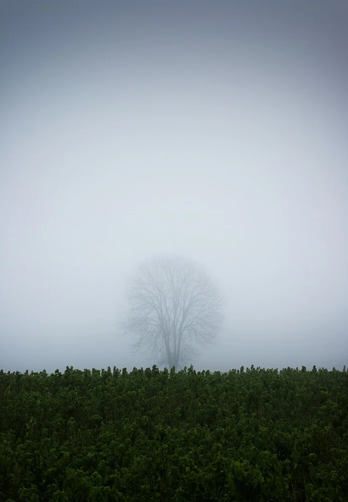 Der Unscheinbare - fotokunst von Manuela Deigert