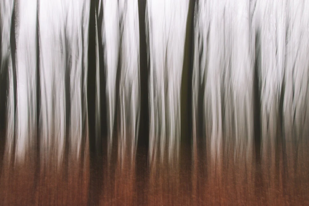 Wald abstrakt, Deutschland – Fotokunst von Nadja Jacke als Poster oder Acrylglasbild
