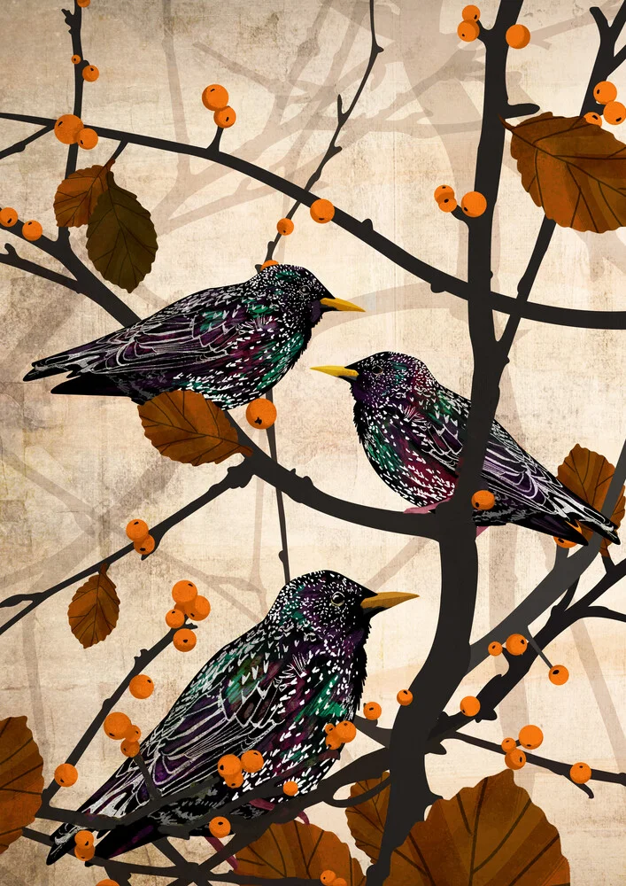Starlings - Fineart photography by Katherine Blower
