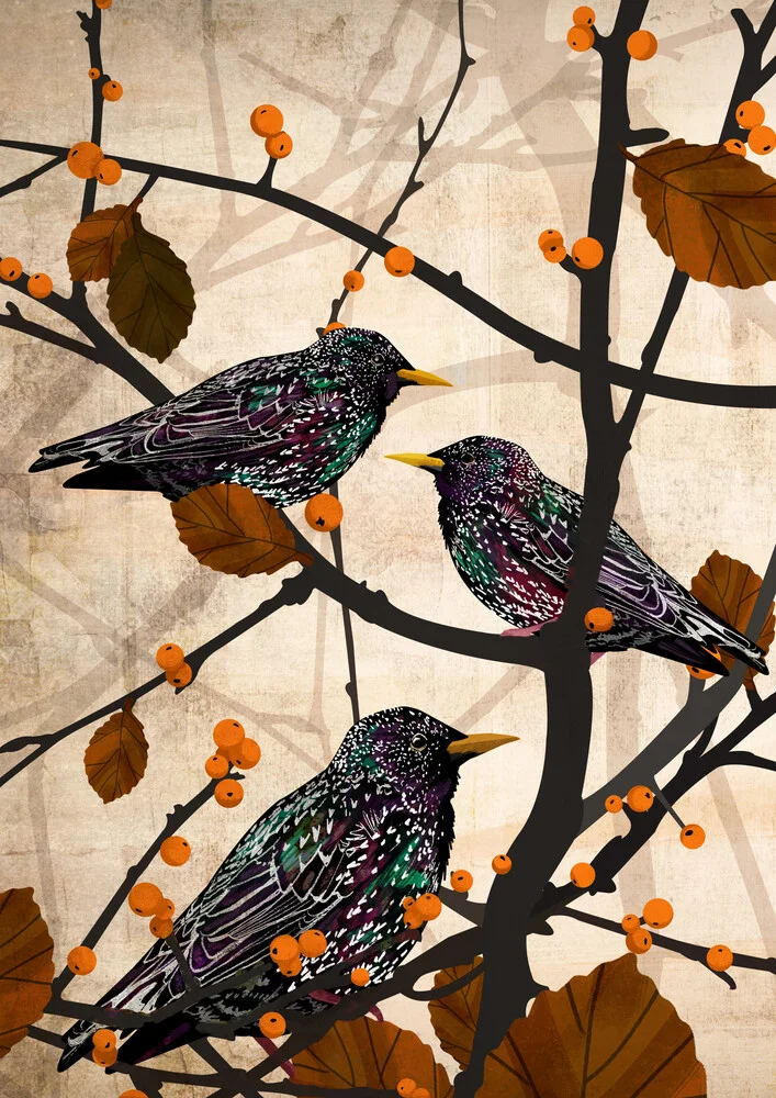 Starlings - fotokunst von Katherine Blower