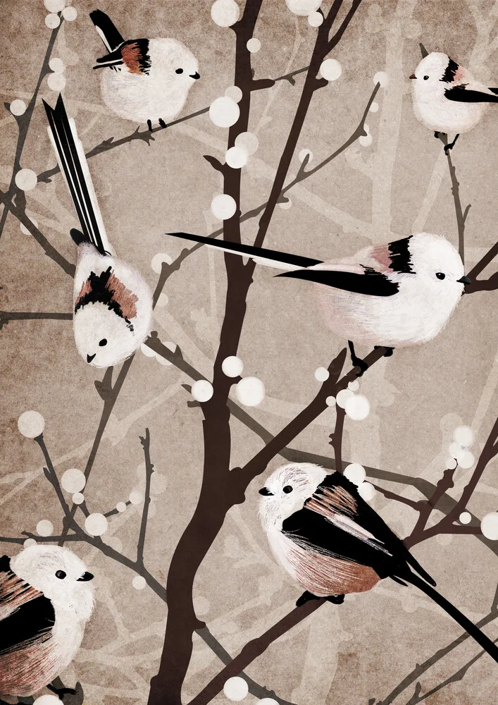 Long Tailed Tit Birds - fotokunst von Katherine Blower